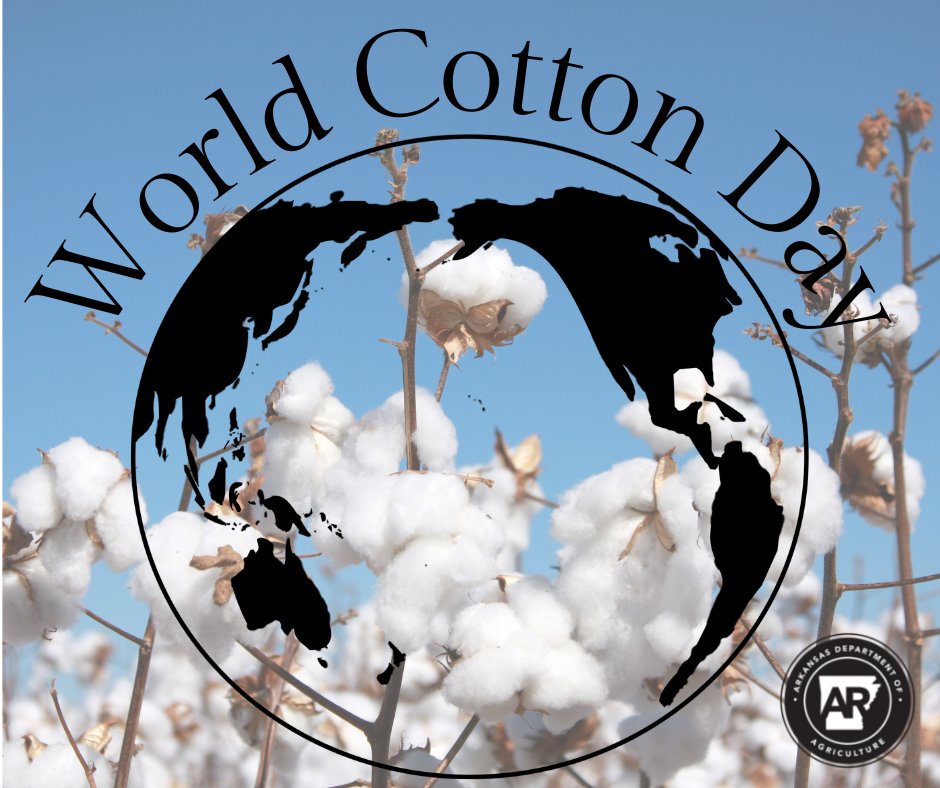 ARDeptAg's tweet photo. Today is World Cotton Day! 
Arkansas is nationally ranked #3 in cotton production, valued at $543 million!
#WorldCottonDay https://t.co/YF2MQYg5u9