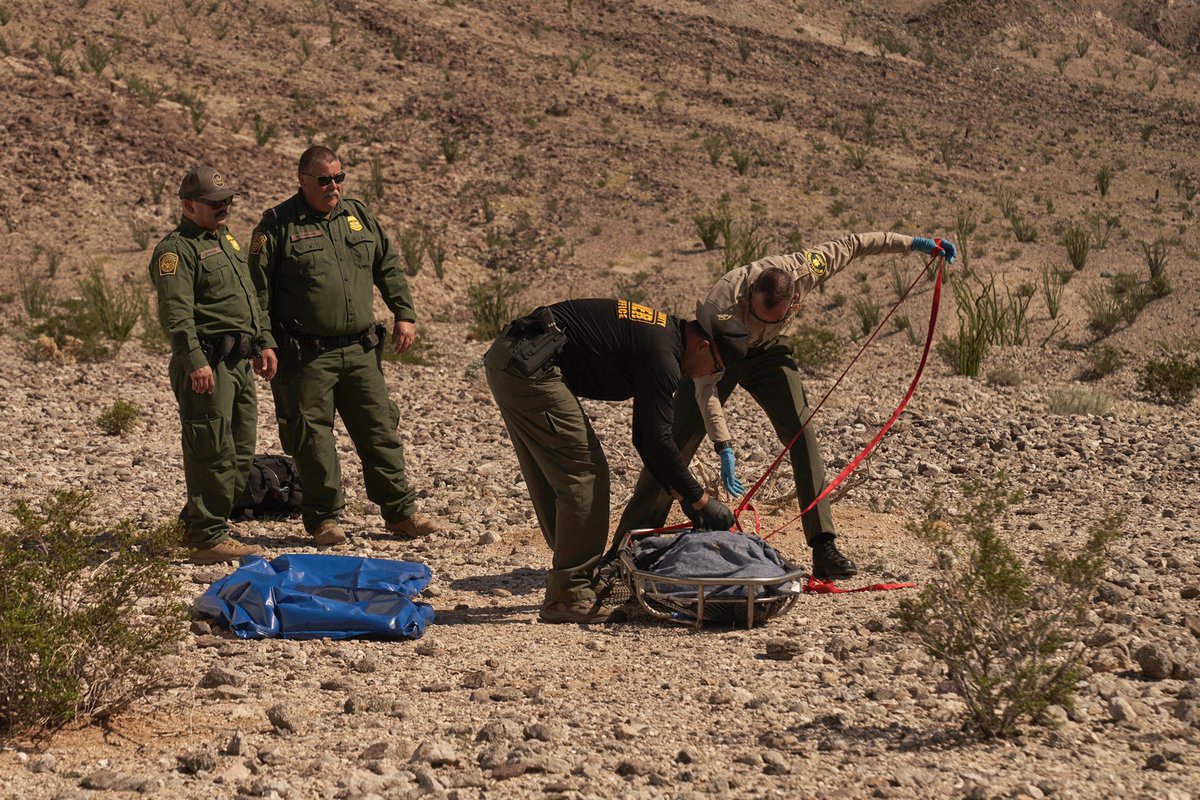 Allison Dinner tweet media