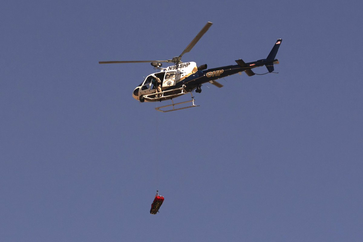 Allison Dinner tweet media