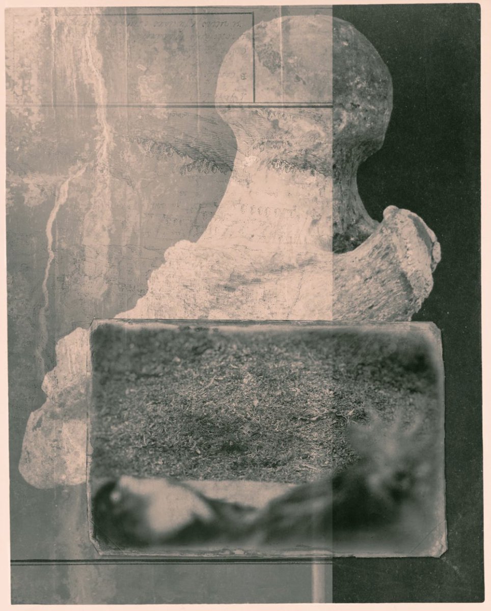 dblewettphoto's tweet photo. #gemsoftezos
'To The Bone' by @AgaReds:
https://t.co/k0I0BPbApX
'Alone' and 'All That Remains Here' by @slow_trees:
https://t.co/luzqiYQyX4
https://t.co/2sQdKDfqtv
#NFT #NFTs #tezosart #photez #nftphotographer #nftphotographers #CleanNFT #NFTcollector #NFTcollectors https://t.co/R5jdhXnUf0