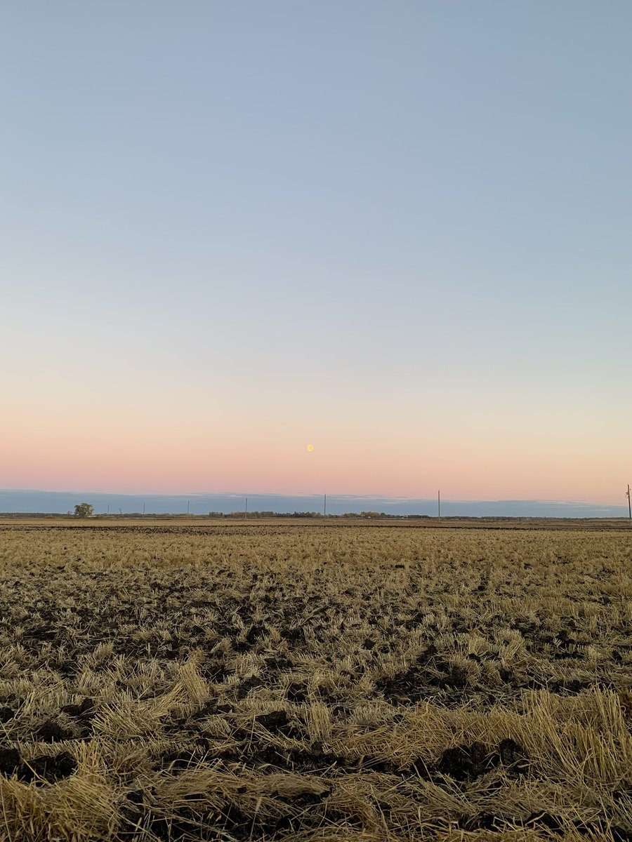 a beautiful sunrise and sunset to wrap up harvest at the TGAS-MAN research station 🌞