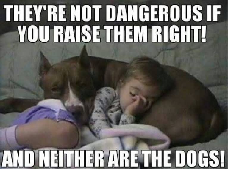 tlamvip's tweet photo. @mikejonesmikey @KarenOl21315870 @ShelbyTNSheriff https://t.co/xEhTmwMaOG