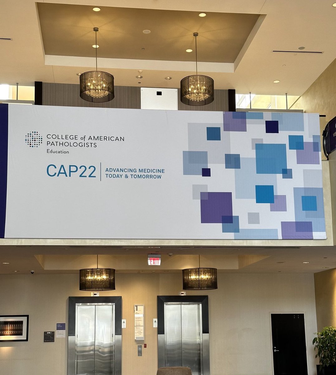 #CAPmeeting2022 💖