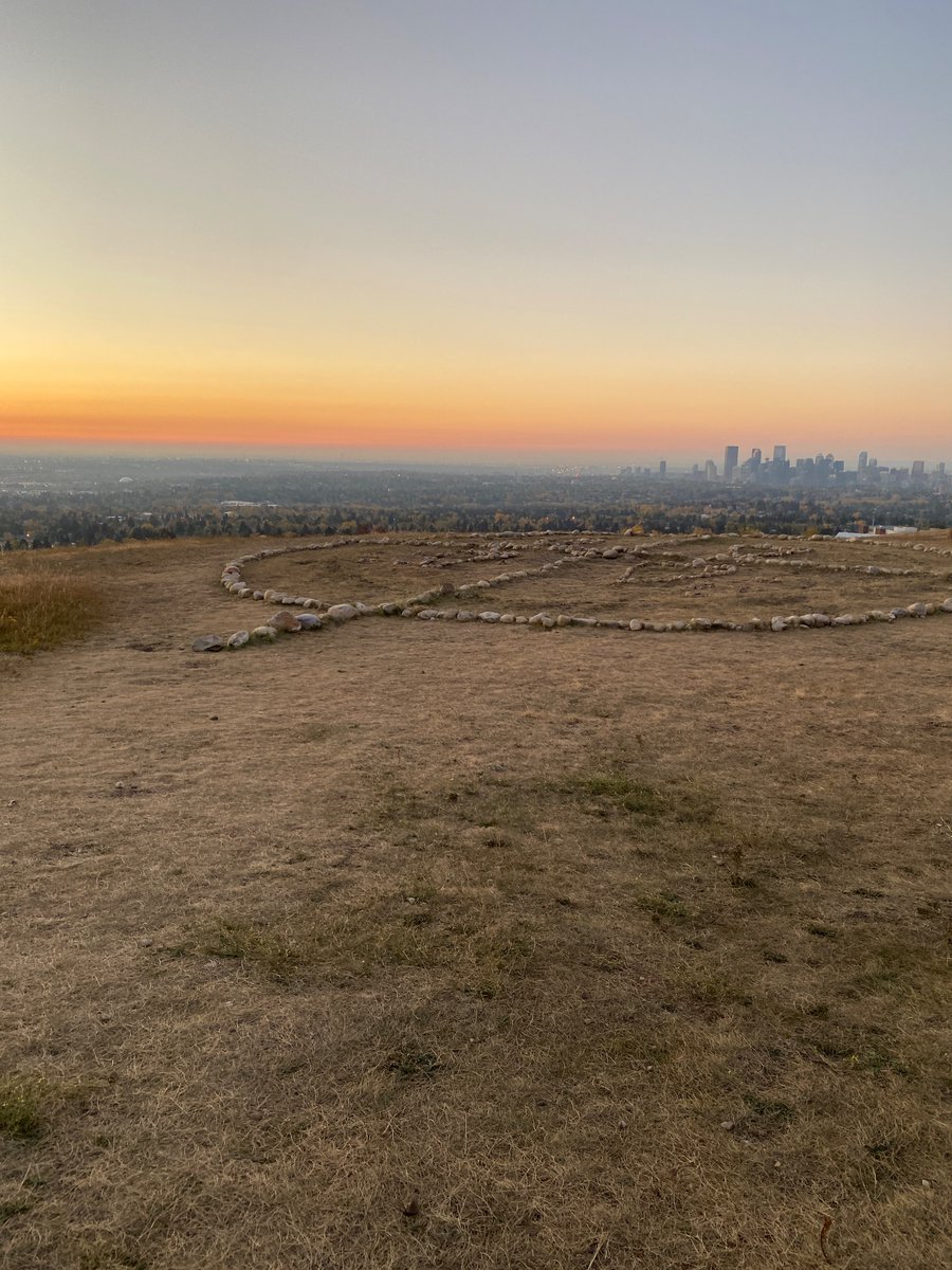 Ms. Thraya tweet media