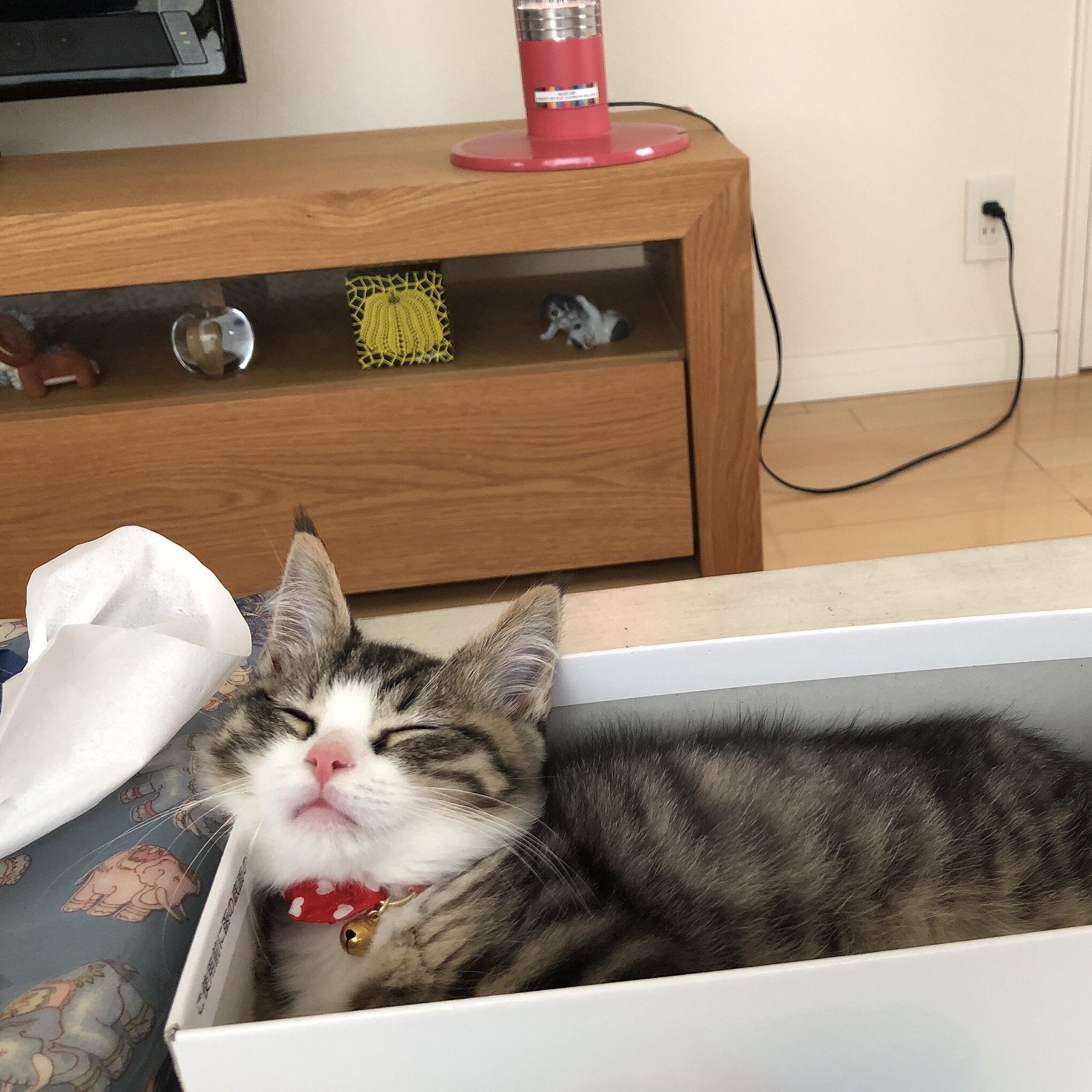 ベビー Twitter Search Twitter