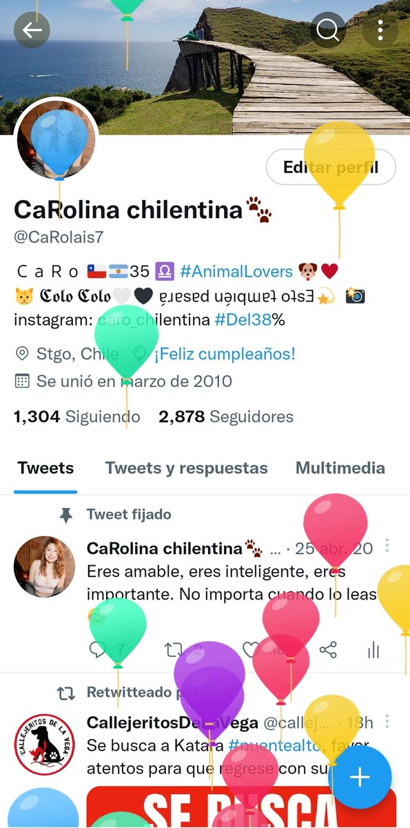 CaRolina chilentina🐾 tweet media