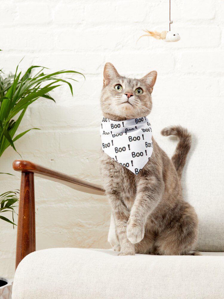 Fahlongward's tweet photo. Thank you for support me 🙏🥰
#redbubble #redbubbleshop #printondemand #cat #dog #pet #gift #digitaldrawing #digitalpainting #digitalarts #arts #design #create #Halloween #halloween2022 #Boo #spongy #ghost  #Halloween2022 
📍Shop📍
https://t.co/BOw6pbIT4Q https://t.co/mmJkI2iYXz