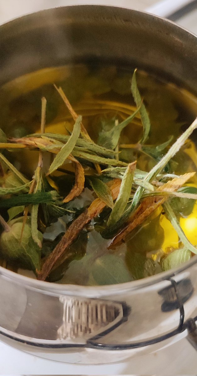 ergunkaptan03's tweet photo. Dereçine'mizin şifa deposu Dereçine Dağ Çayı  Sonbaharın serin akşamlarında nefis aroması  doğal lezzeti ile  tavsiyemdir... https://t.co/CgTXXxNo9F