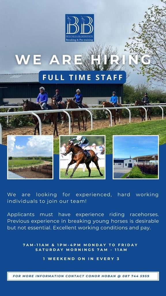 Beechlea Bloodstock tweet media