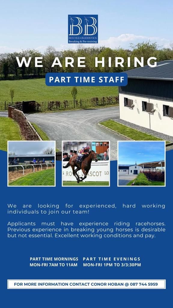 Beechlea Bloodstock tweet media