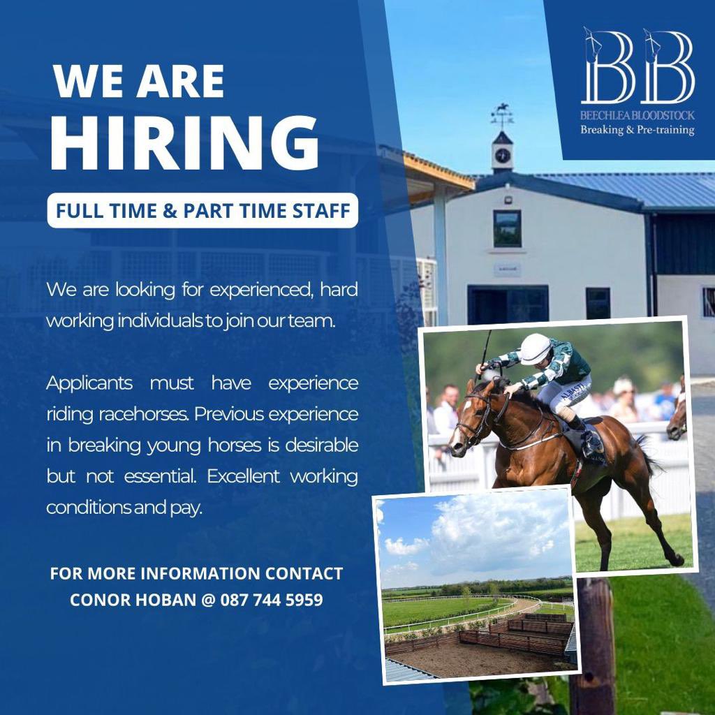 Beechlea Bloodstock tweet media