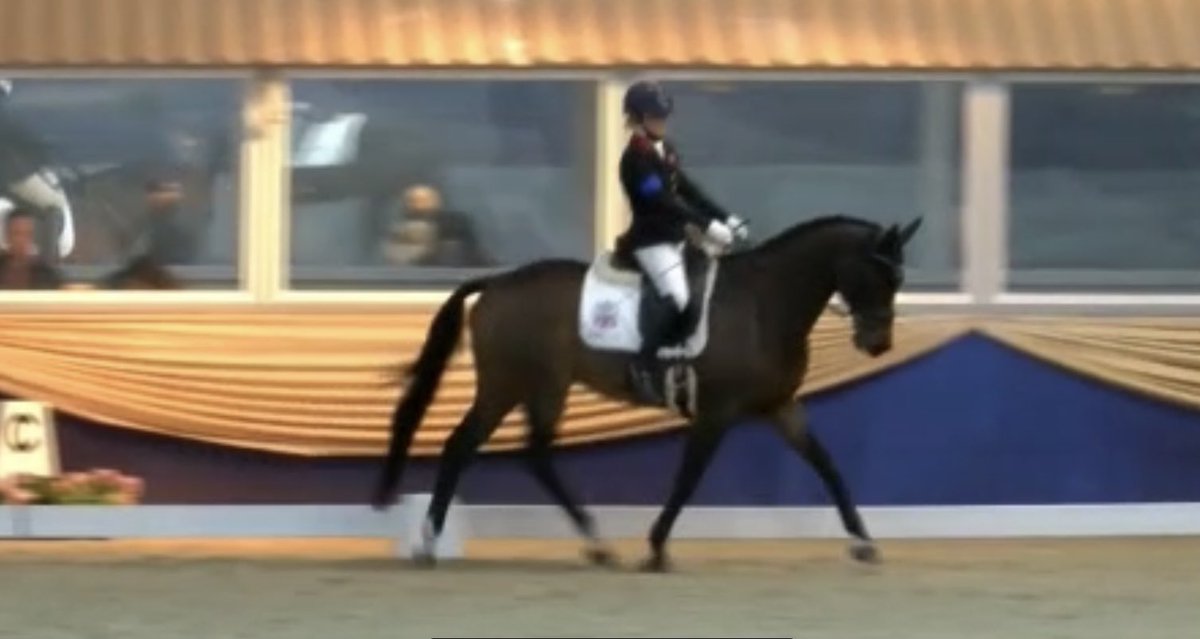 Suzanna Hext PLY tweet media