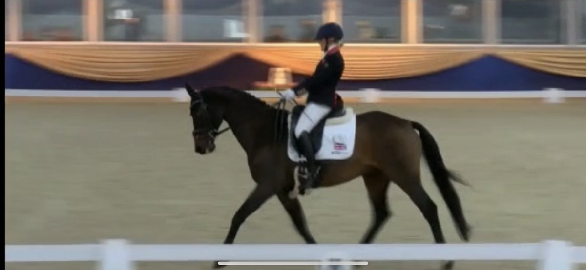 Suzanna Hext PLY tweet media