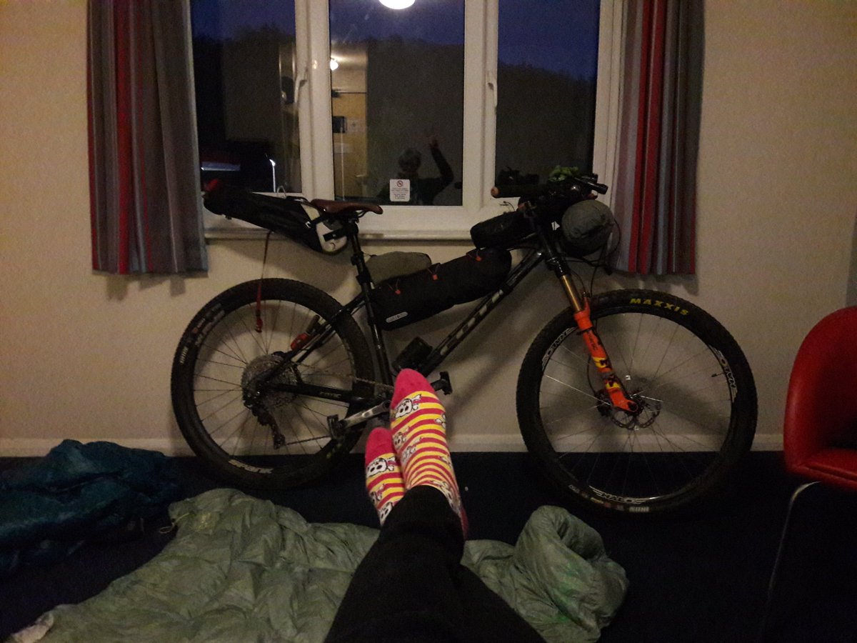 Trepid Explorer tweet media