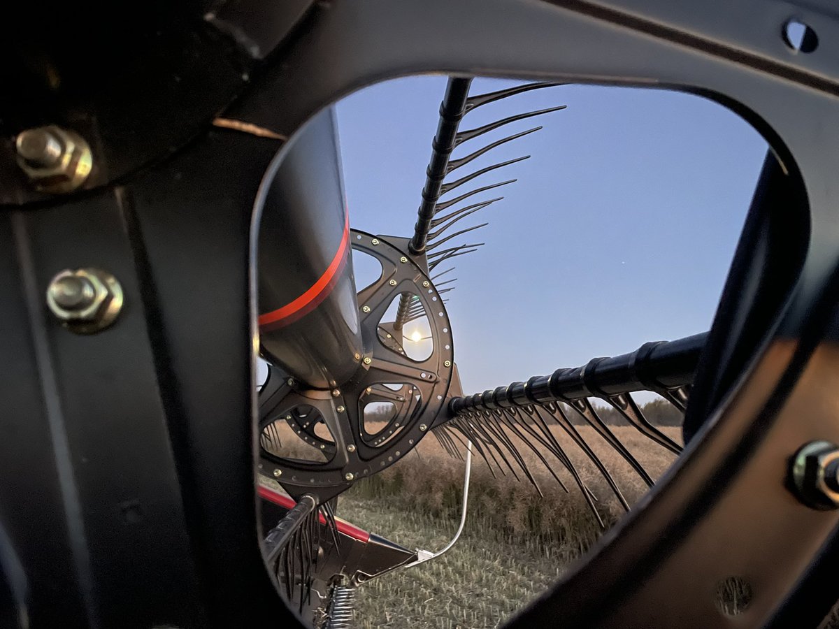 Brooke Moon tweet media