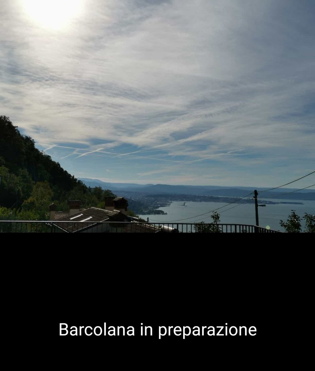Nicola Bressi tweet media