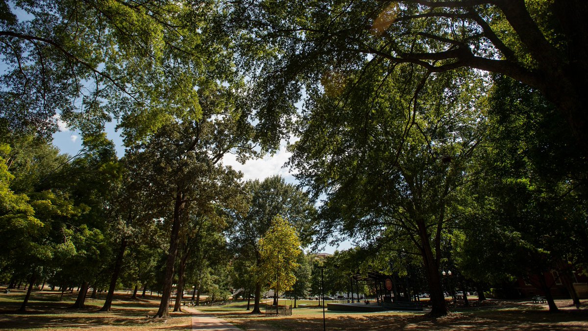 OleMiss tweet picture