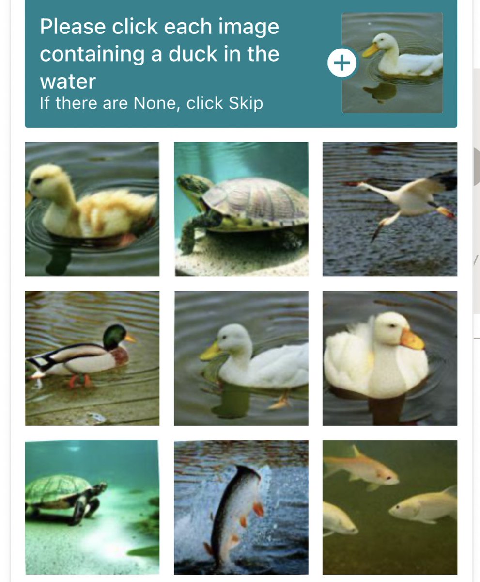 Thomas Lydon tweet media