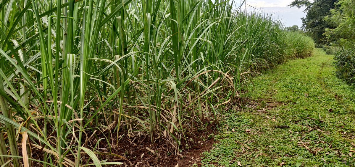 Cathy Cole Ltd tweet media