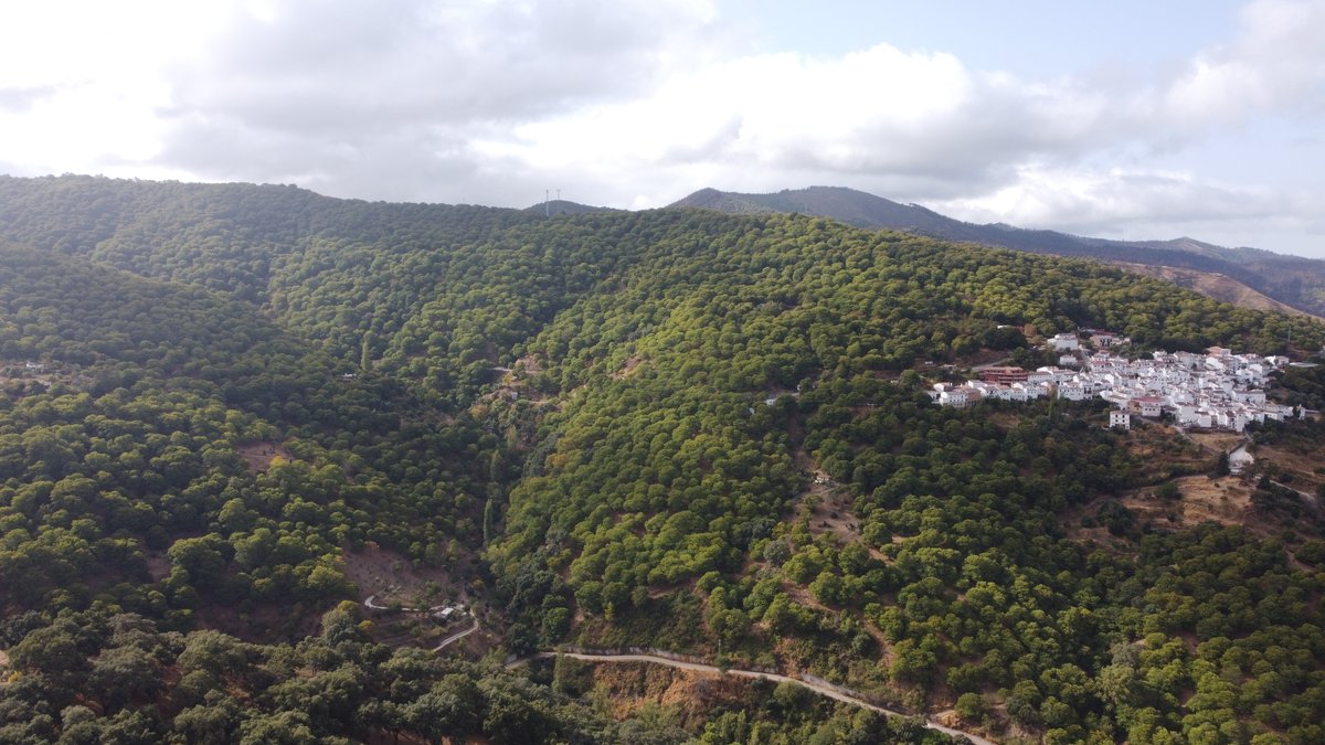 AltoGenal's tweet photo. SOLICITAN EL ARREGLO DEL #ANTIGUO #CAMINO DE @pujerra A #IGUALEJA
#ValledelGenal #SerraniadeRonda @rys_web #senderismo #caminos #rutas #castanas https://t.co/Izh6XdClop