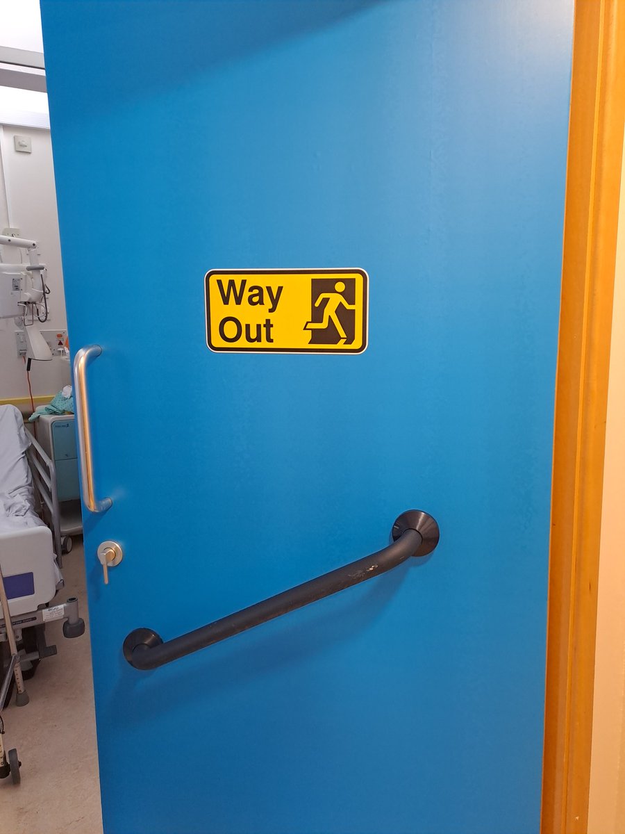 Alison Gray 🍊 tweet media