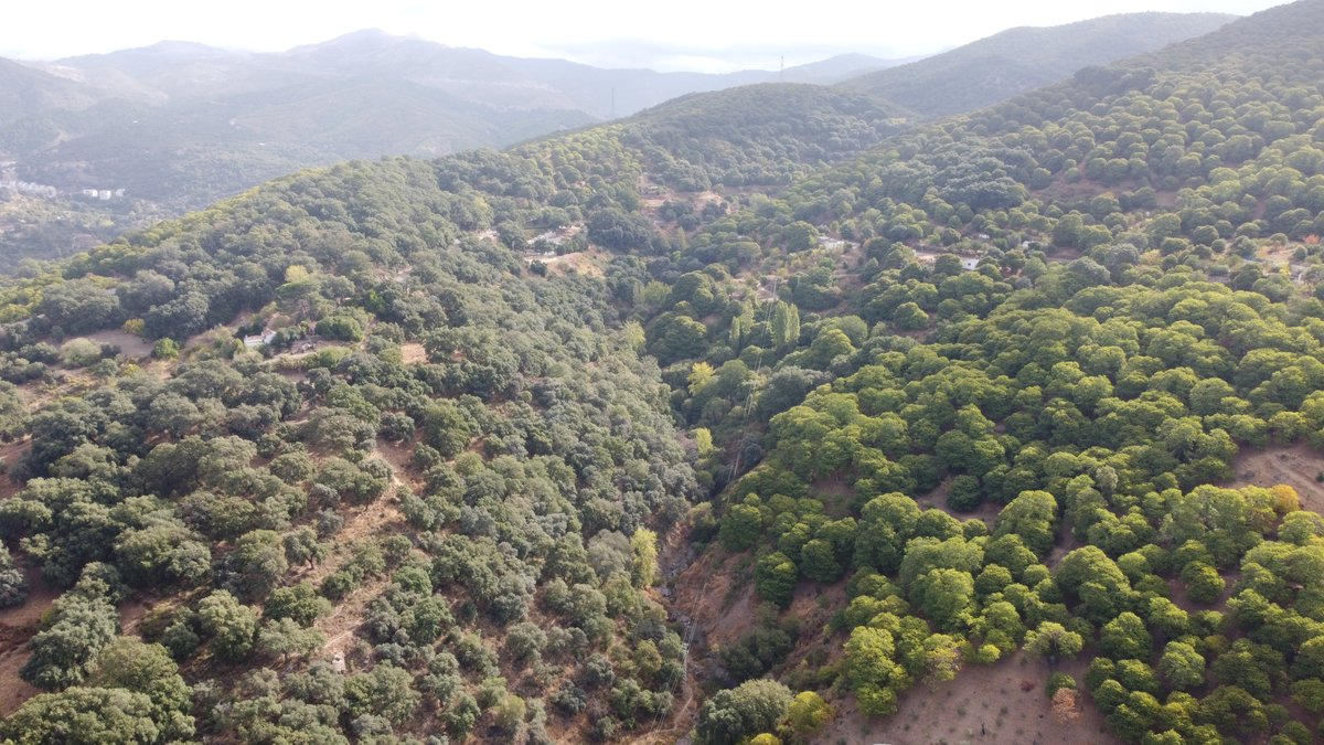 AltoGenal's tweet photo. SOLICITAN EL ARREGLO DEL #ANTIGUO #CAMINO DE @pujerra A #IGUALEJA
#ValledelGenal #SerraniadeRonda @rys_web #senderismo #caminos #rutas #castanas https://t.co/Izh6XdClop
