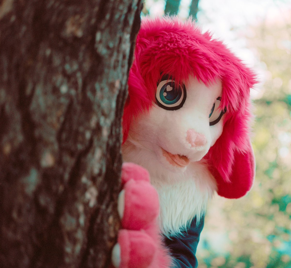 BunCandyCrystal's tweet photo. 👋🐰Hello! There is a new, shy bunny in town! #FursuitFriday 
📸: @IrlTrampe https://t.co/GH7LpLI58r