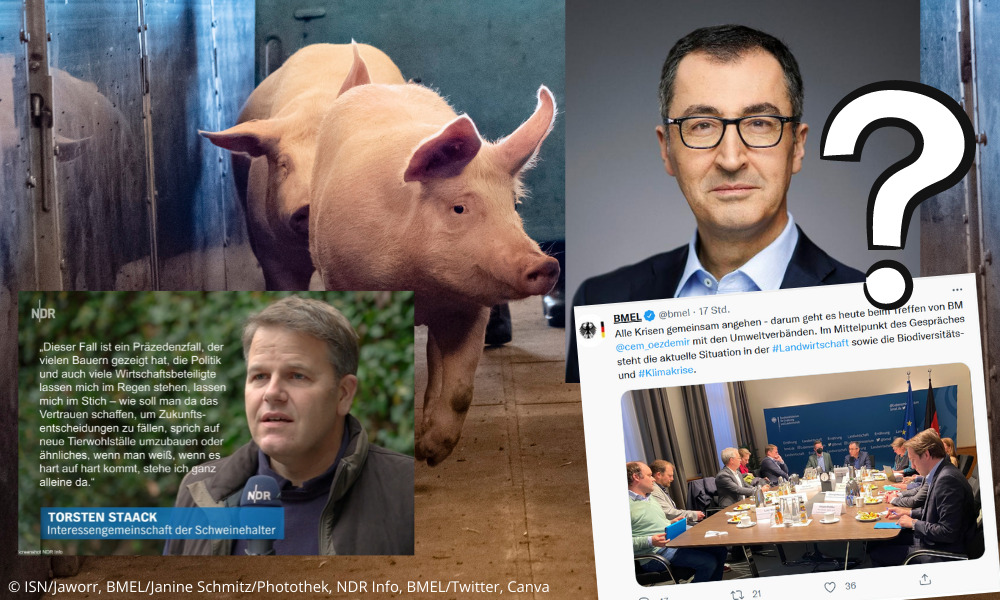 ModernLandwirt's tweet photo. ASP-HILFEN - ÖZDEMIR LÄSST DIE SCHWEINEHALTER IM STICH
#ModernerLandwirt #Landwirtschaft #Agrar #agriculture
#ASP #ASPAuswirkungen #ASPKrise #ASPRestriktionszone #Schweinehalter #ASPDeutschland #Hilfe #ASPHilfen
https://t.co/YarP64cDvi https://t.co/xd4MyoL1cj