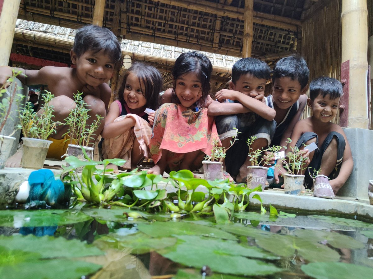 OmalKha44263821's tweet photo. These refugee kids are visiting to Rohingya Cultural Memory Center, RCMC,situated in the camp. There is a lotus pool with fishes in its compound.

#Rohingya
#Refugees
#Children
#Visiting
#RCMC
#LotusPool https://t.co/1Q8zhIDZ0T