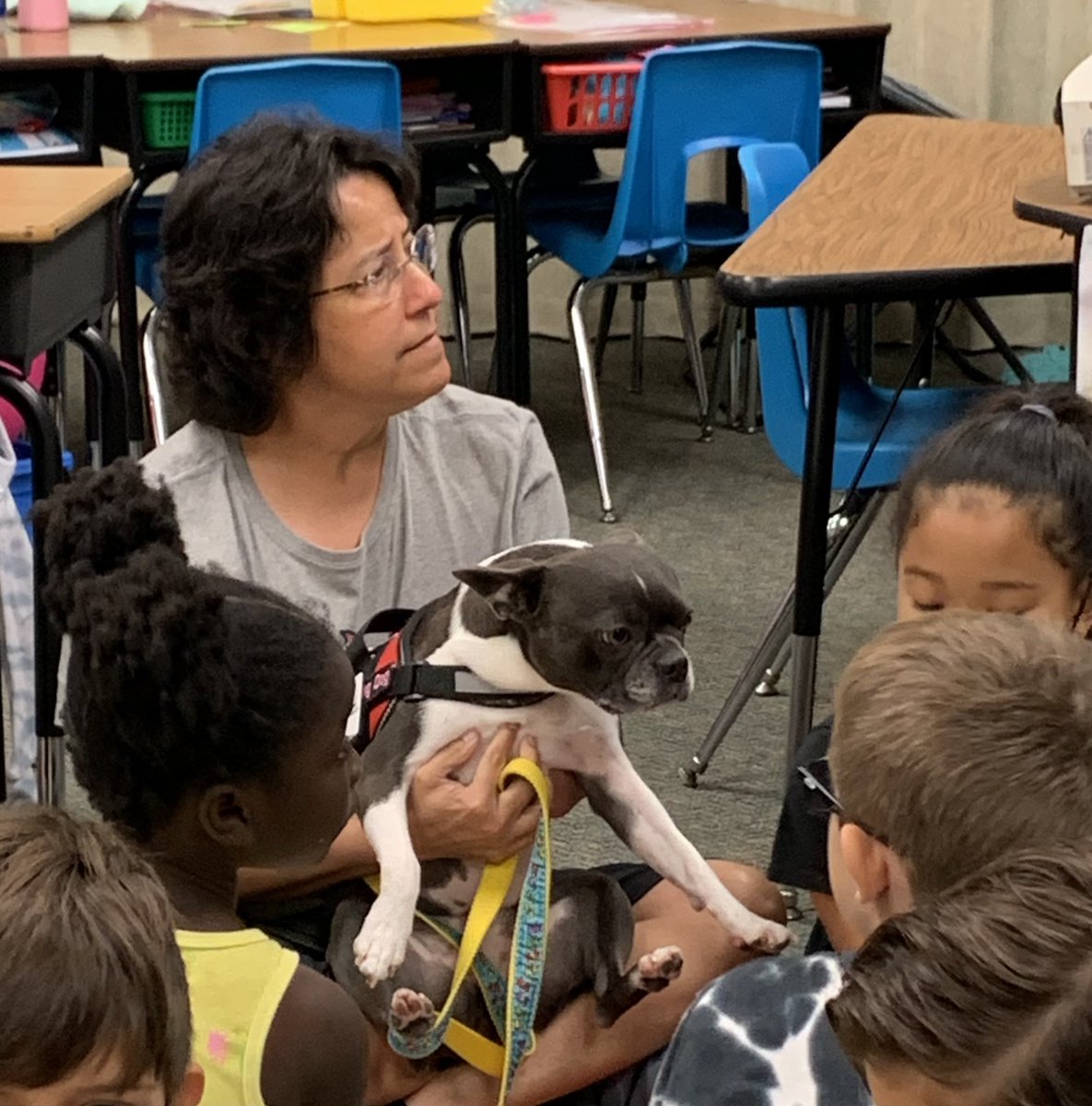 lindseylove85's tweet photo. Our therapy dog Daisy joined small groups today in 1st and 2nd grade! She’s going to be one smart cookie! @KleinISDChelsea #KleinISDPRSquad #kleinisdfamily @RothKISD https://t.co/WXJHCJBevN