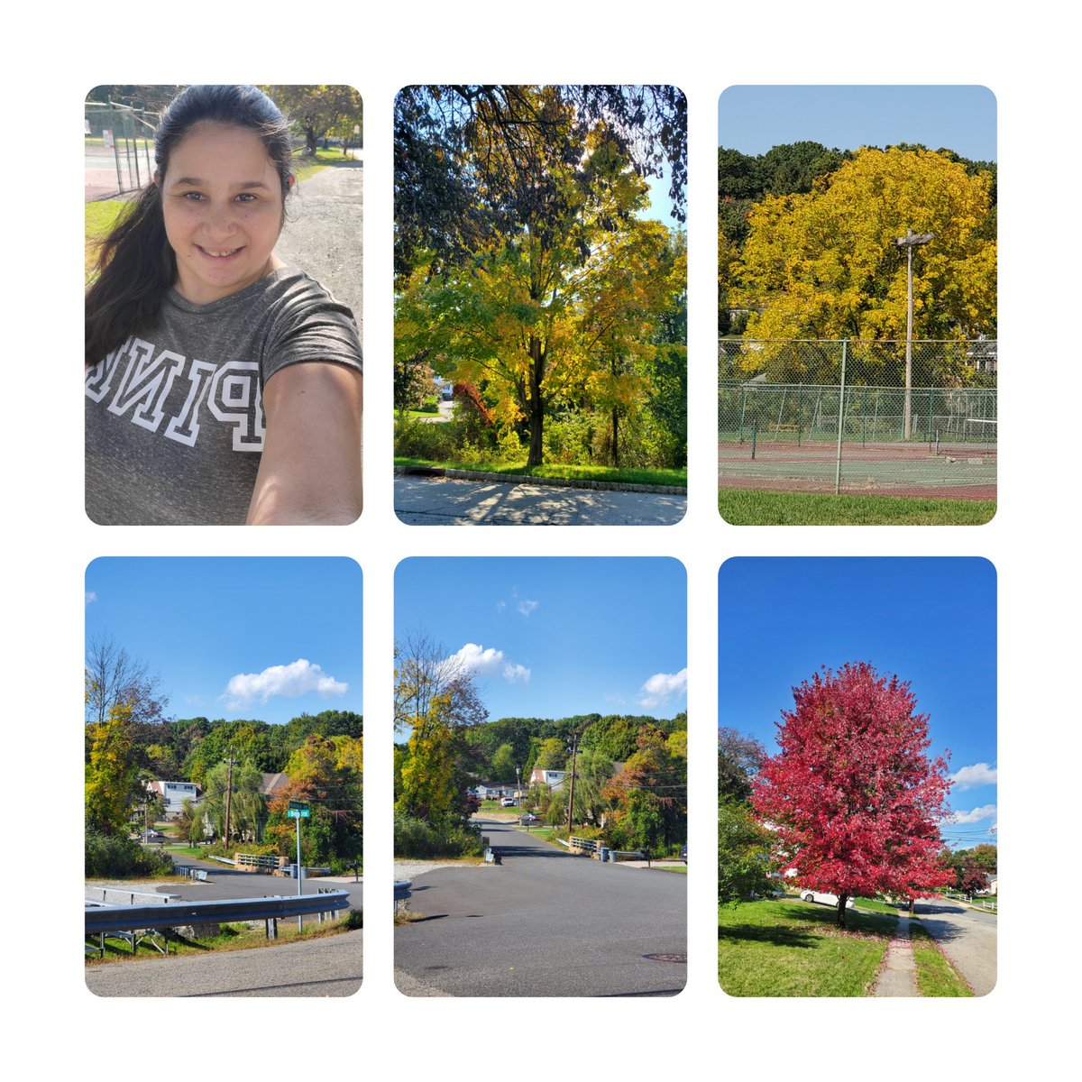 Leigh04291173's tweet photo. This is my favorite time of the year.  Cooler weather,  leaves changing color.  It's nice out today, I got my behouchie out and walked 3.15 miles. 

#walkwithamy
#moveyourbehouchie https://t.co/mNgsNwzNvw