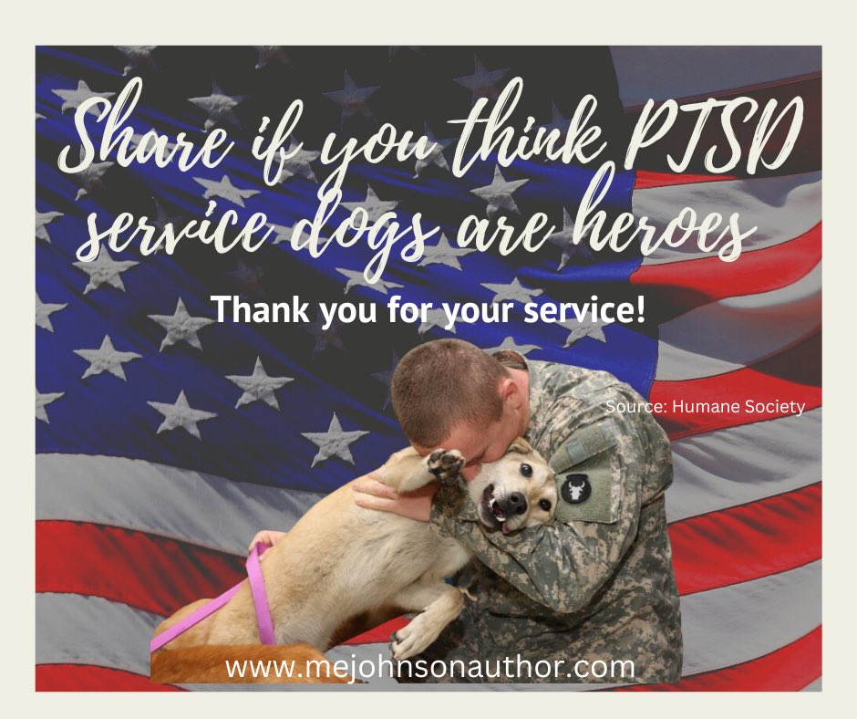 MEJohnsonAuthor's tweet photo. PTSD Service Dogs are heroes!
#judge4vets #veteranshelpingveterans #veteransuicide #army #navy #marines #airforce #coastguard #ptsd  #servicedog #ptsdservicedog https://t.co/LcX165uqDs