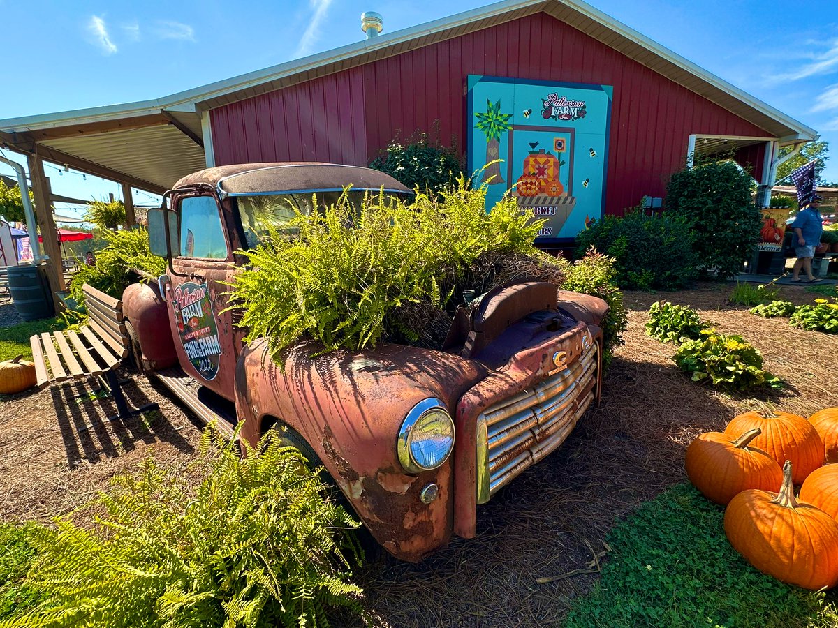 TammyLWalser1's tweet photo. Farmerโs market #pattersonfarms https://t.co/f5LjsyRUDB