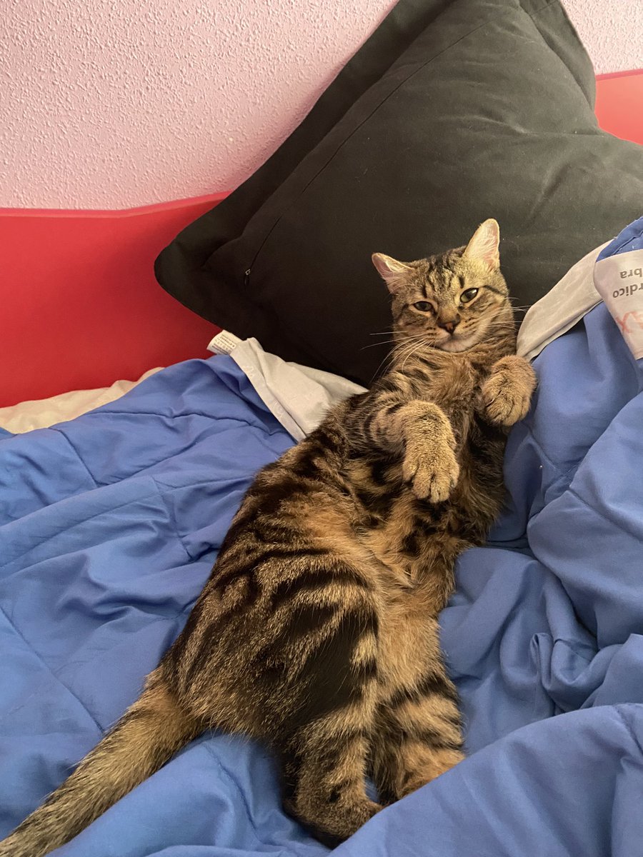 lorena🌈 tweet media