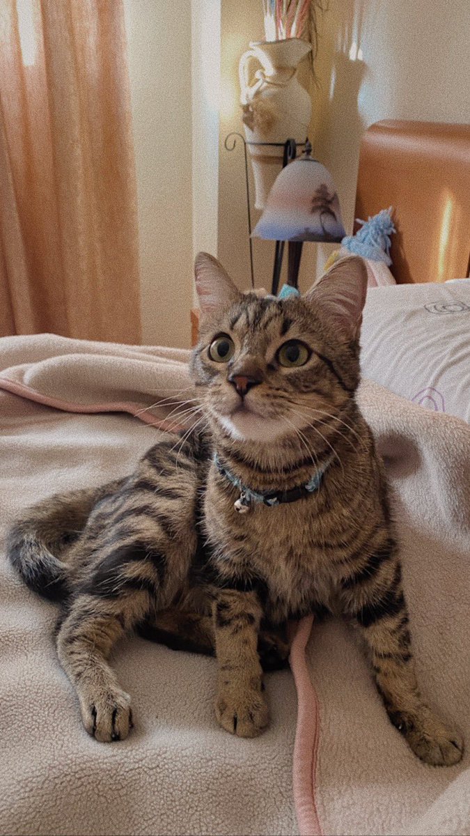 lorena🌈 tweet media