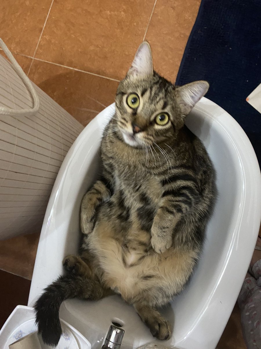 lorena🌈 tweet media