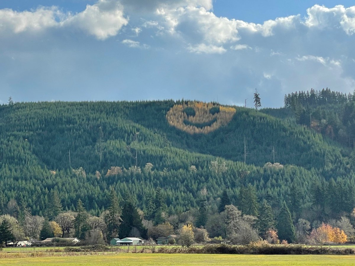 It's #WorldSmileDay!  Students at Houston Jr. Sr. High School in Ohio saw our forest smiley face and sent us a picture of their own (made up of students, not trees)!  Thanks, <a href="/hhlocalschool/">Hardin-Houston LSD</a> for making the world a little brighter!