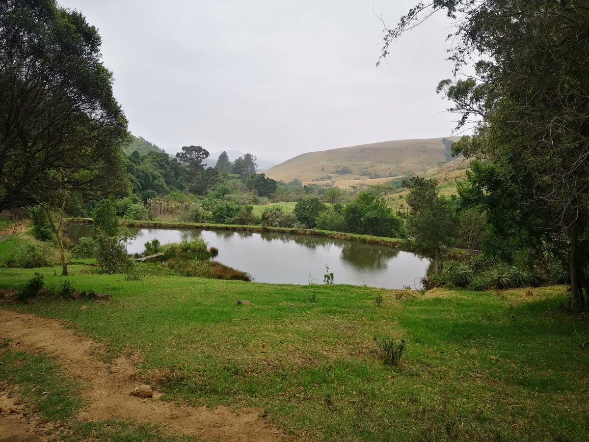 5starstories's tweet photo. When the weather outside is cold and gray at  @the_cavern_resort_drakensberg there is plenty to warm you up indoors 🔥

#wintersday #fireplace  #drakensberg #drakensbergexperience #mountains #wine #winetasting #winecellar https://t.co/qMbFPRzo2K