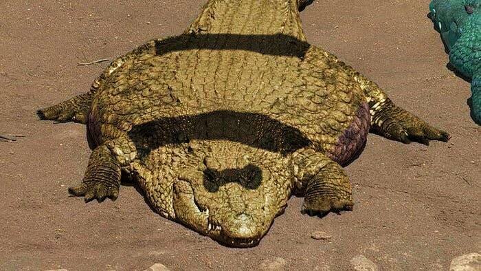 It's Flat Fuck Friday!!