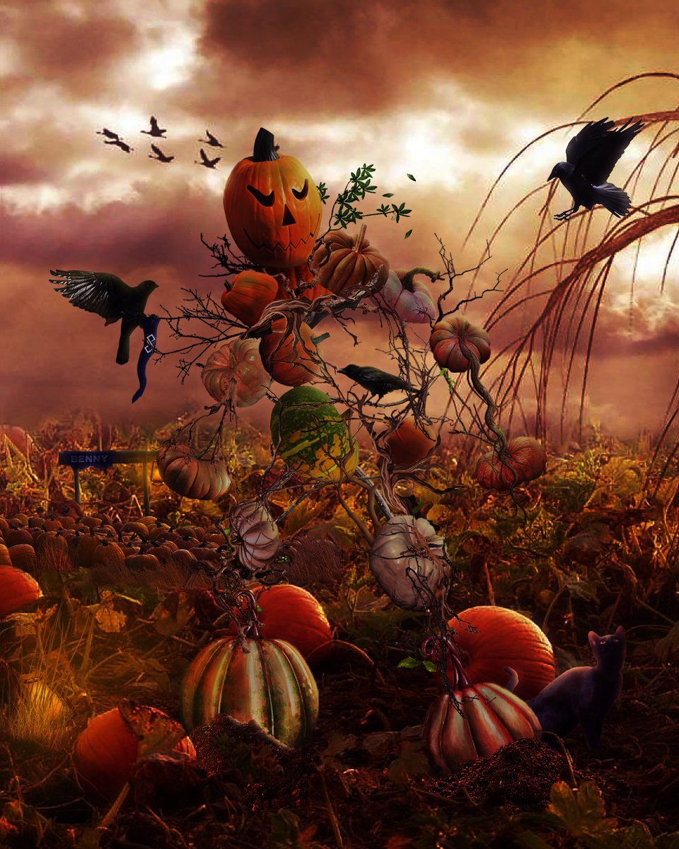 Zorincian's tweet photo. My entry for #editwartransformations
I'm not sure what dark magic benny was performing but I don't think turning into a pumpkin golem was his intention :/
this is my first time really ever using photoshop like this but I hope it looks nice!
#editwar #halloween #photoshop https://t.co/iQ3MoBZQUf