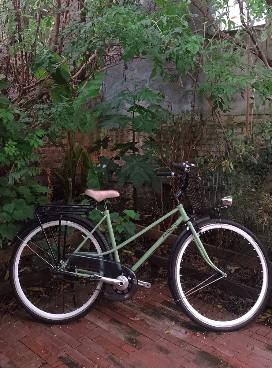 CorneliaBicis's tweet photo. Verde que te quiero verde
verde viento verdes ramas
el barco sobre la mar
'la bici' en la montaña.
💚 #TorbellinaCornelia 💚 en color verde clásico, inmersa en más verde. 

Ensamblada en Gama Media, con cubrecadenas #hesling . luces SPANNINGA y sistema de cambios #SturmeyArcher https://t.co/O5Q9S7IcE0