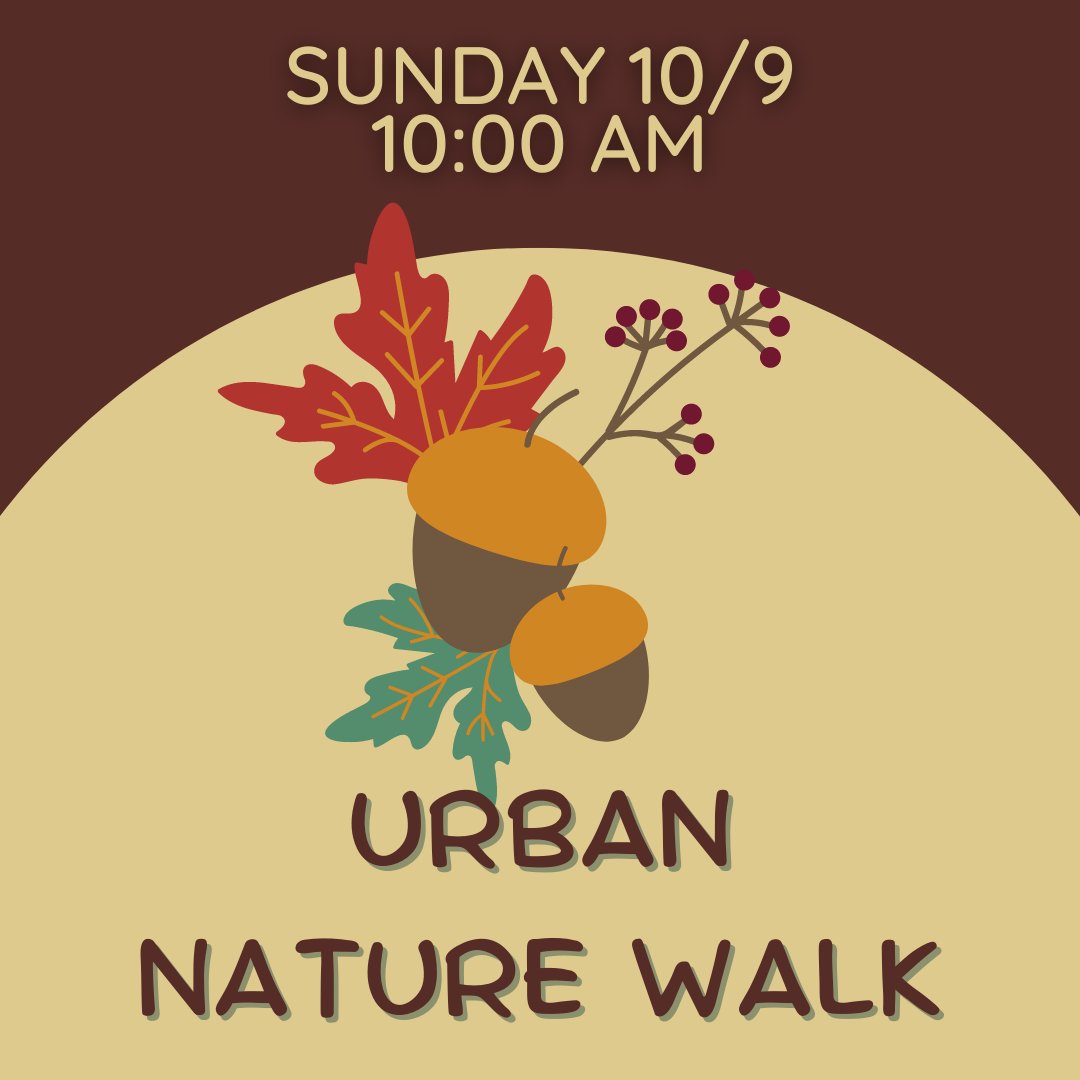Tomorrow join us for our second urban nature walk of the year! 

** Tickets are free but limited  #JerseyCityEvents #SaveJCR3

ID: a drawing of acorns and fall foliage with the text "Sunday 10/9, 10 A M, Urban Nature Walk"

JCFallFoliage2022.eventbrite.com