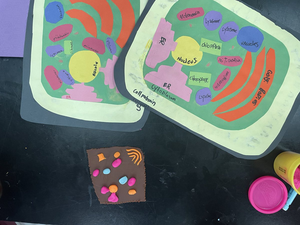 LifeSciHax's tweet photo. Many smiles and great cooperation and creativity for modeling cells with playdoh today. Thank you to the parent who bought it for us. #amazonwishlist #amswildcats #fcps1science https://t.co/M7ocb1eQIo
