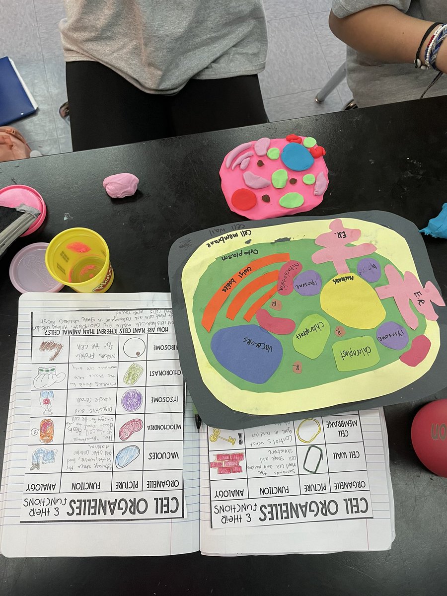 LifeSciHax's tweet photo. Many smiles and great cooperation and creativity for modeling cells with playdoh today. Thank you to the parent who bought it for us. #amazonwishlist #amswildcats #fcps1science https://t.co/M7ocb1eQIo