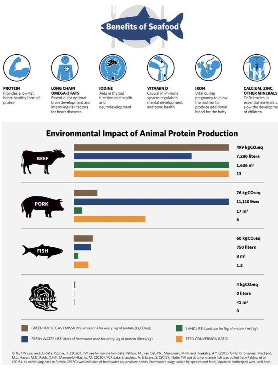 The benefits of seafood.
