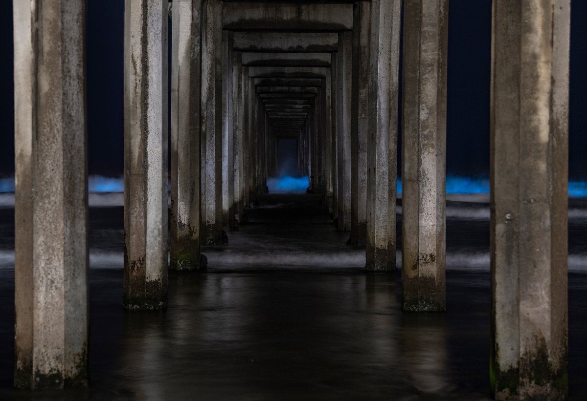 Scripps_Ocean's tweet photo. Electric blue #bioluminescent waves continue to crash around San Diego beaches, courtesy of an offshore red tide. @UCSanDiego photographer @erikjep captured these epic images last night, so you may still be able to catch a glimpse tonight (although visibility isn't guaranteed). https://t.co/ixsnJ1pcZl