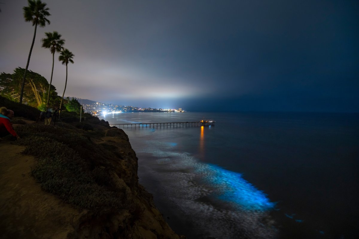 Electric blue #bioluminescent waves continue to crash around San Diego beaches, courtesy of an offshore red tide. <a href="/UCSanDiego/">UC San Diego</a> photographer <a href="/erikjep/">Erik Jepsen</a> captured these epic images last night, so you may still be able to catch a glimpse tonight (although visibility isn't guaranteed).