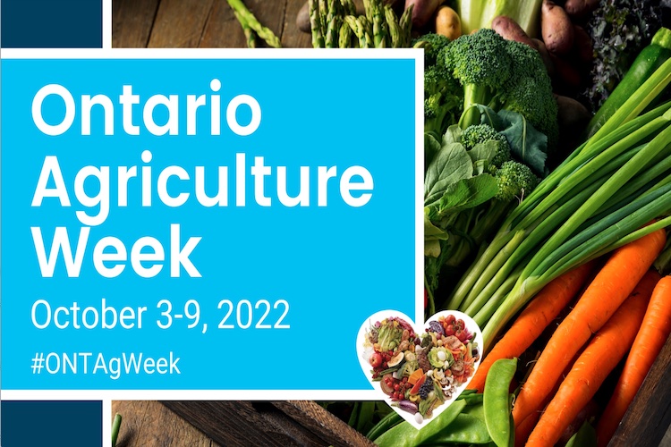 OntFruitVeg's tweet photo. Thank you to all the farm families and farm workers as we celebrate #OnAgWeek @morethanamigrantwrkr
Contest: Tweet a pic of Ontario fruit or vegetables or your favourite farmer and tag us @OntFruitVeg to win a prize pack. Random draw will take place on Oct 11. https://t.co/AVqTgXcadx