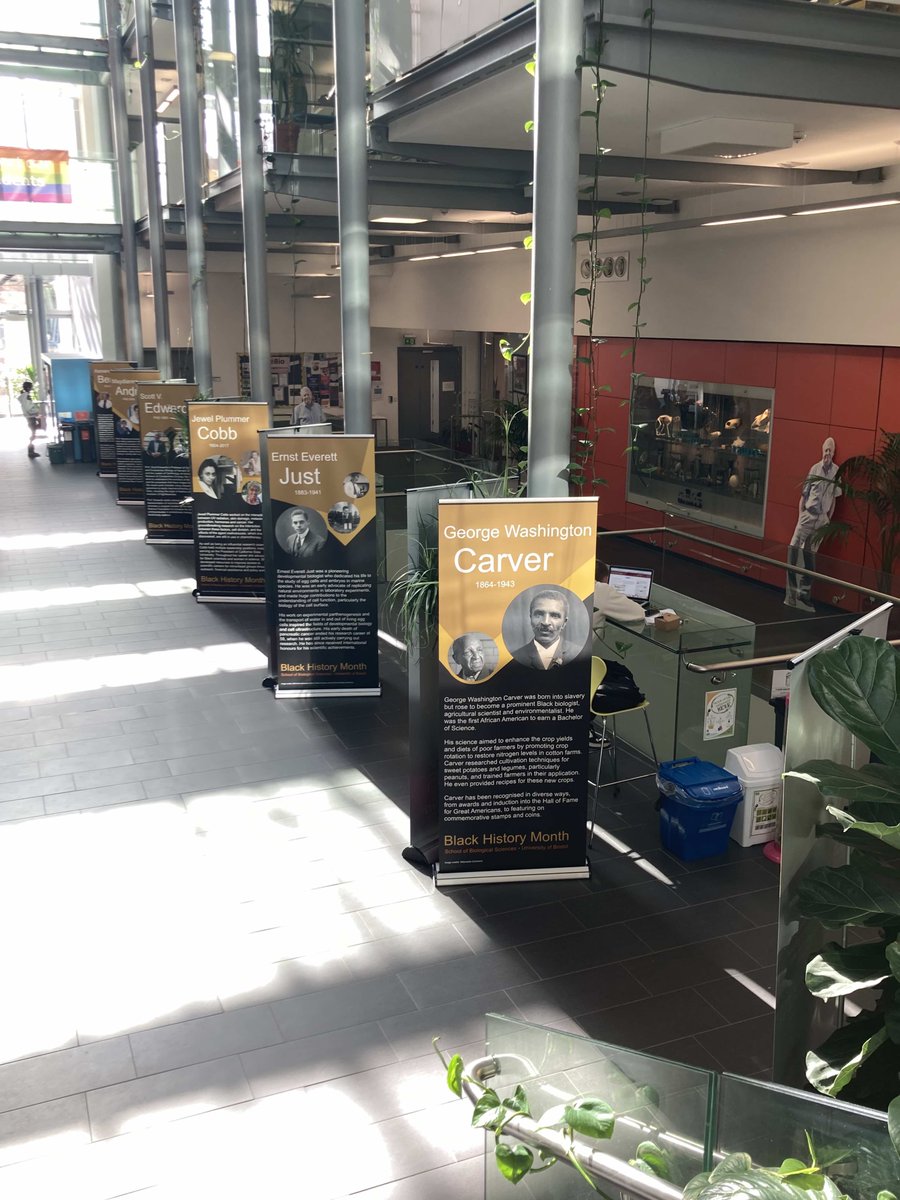 Scott V Edwards (@scottvedwards1) on Twitter photo It's #BlackHistoryMonth in the UK. <a href="/BristolUni/">University of Bristol</a> just put on an amazing display of success in science by Africans and African Americans. There are some great scientists and several good friends in this display! It's #BlackHistoryMonth in the UK. <a href="/BristolUni/">University of Bristol</a> just put on an amazing display of success in science by Africans and African Americans. There are some great scientists and several good friends in this display!