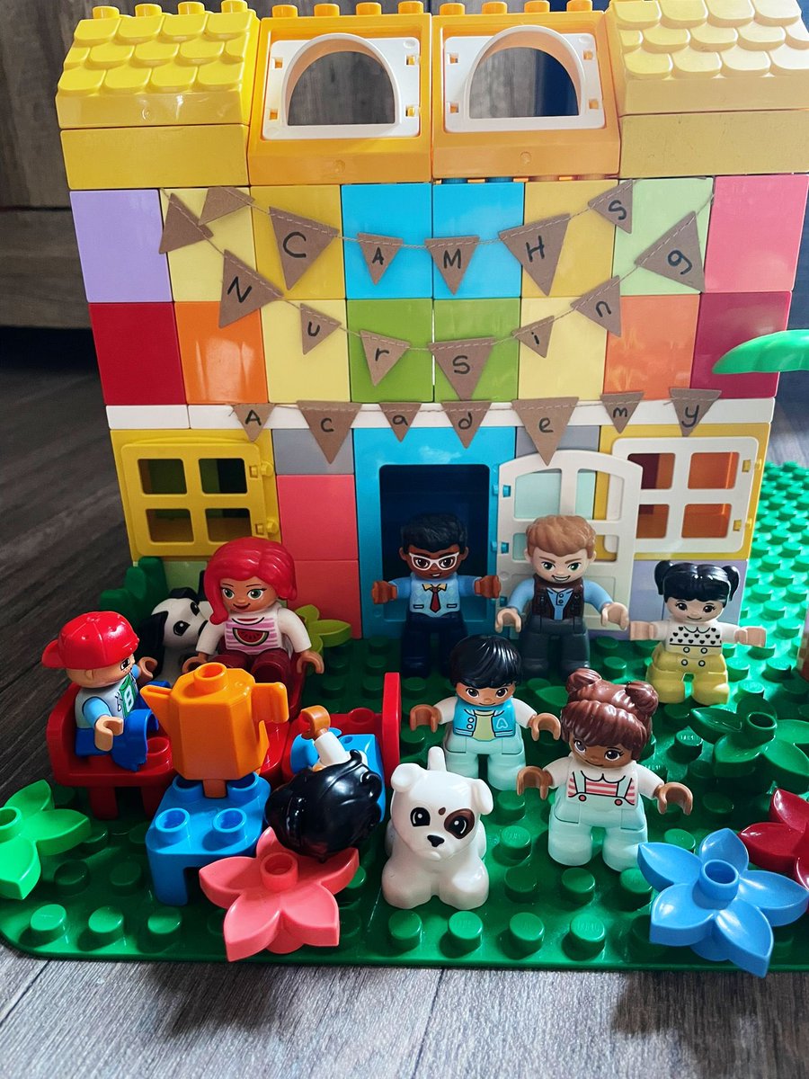 camhsnursingacademy tweet media